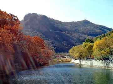 管家婆免费正版资起大全，天籁纸鸢风流